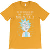 mathematically T-Shirt