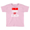 ny state of mind Toddler T-shirt