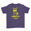 no drama llama (2) Youth Tee