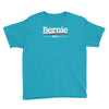 bernie sanders for president 2016 Youth Tee