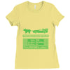 delorean trail Ladies Fitted T-Shirt