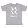 aquarius zodiac Toddler T-shirt