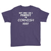 perfect cornish Youth Tee