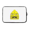 Unacceptable Laptop sleeve