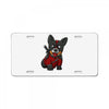 corgipool License Plate