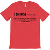 Feminist Noun T-Shirt