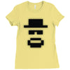 the little chemist Ladies Fitted T-Shirt