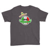 celebrate cinco de mayo Youth Tee