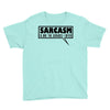 sarcasm services (2) Youth Tee