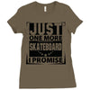 Just One More Skateboard I Promise Ladies Fitted T-Shirt