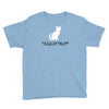 trick or treat Youth Tee