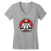ma&icirc;tre tortue g&eacute;niale Women's V-Neck T-Shirt