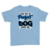 i may not be be perfect but my dog loves me Youth Tee