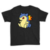 typhlosion pokedoll Youth Tee