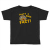 rock fact Toddler T-shirt