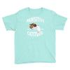 pawsitive catitude Youth Tee