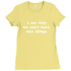 i am why we can't have nice things Ladies Fitted T-Shirt