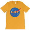 gay T-Shirt