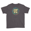 everyday should be pi day Youth Tee