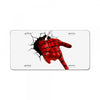 COOL SPIDER License Plate