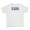 blue grass t shirt country music shirt cool tshirt harmonica banjo shi Youth Tee