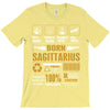 Born Sagittarius Multitasking Problem Solving Tees T-Shirt
