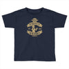 why would you put that on the internet Toddler T-shirt