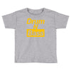 drum n bass birthday music Toddler T-shirt