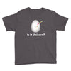 is it Unicorn Youth Tee