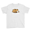 dreamer bear Youth Tee
