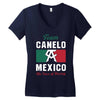The Face of Boxing Women's V-Neck T-Shirt