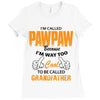 I'm Called Pawpaw Because  I'm Way Too Cool To Be Called Grandfather Ladies Fitted T-Shirt