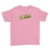 ask me about my llama Youth Tee