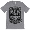 If Things Better 1979 Age Approach Magnificent T-Shirt