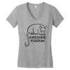 awesome Women's V-Neck T-Shirt