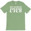 best grandfather ever T-Shirt
