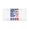 usa 2 License Plate