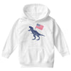 Patriotic T-Rex Youth Hoodie