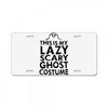 this is my lazy ghost costume 2 License Plate