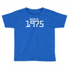 made in 1975 birthday celebration funny party Toddler T-shirt