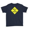 belly on board beer Youth Tee