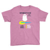 wandstock Youth Tee