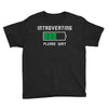 low battery introvert pun humor Youth Tee