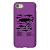 shark chart iPhone 8
