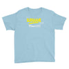 it's a surname thing Youth Tee