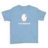 is it Unicorn Youth Tee