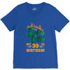 Rockin Rollin 30th Year Birthday V-Neck Tee