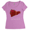 liver cancer awareness Women's Triblend Scoop T-shirt