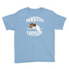 pawsitive catitude Youth Tee