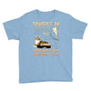 norwegian forest cat Youth Tee